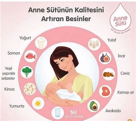 Anne Sütü Artırıcı Besinler ve İpuçları