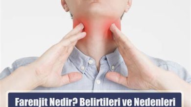 Farenjit Nedir?