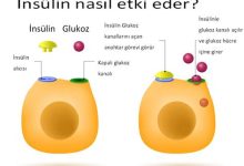 İnsülin Direnci Nedir?