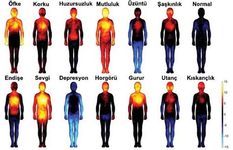 Olumsuz Duygu ve Düşüncelerin Vücudumuza Zararları