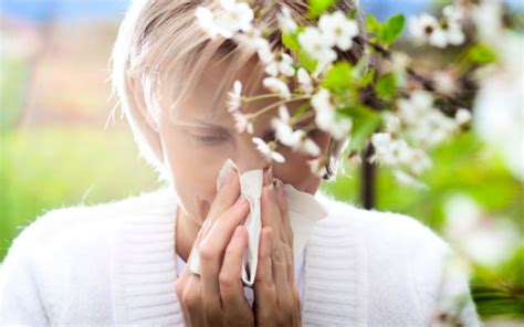 Polen Alerjisi Nedir? Belirtileri Nelerdir?