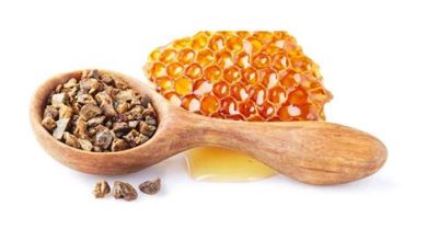 Propolis’in Saymakla Bitmeyen Faydaları